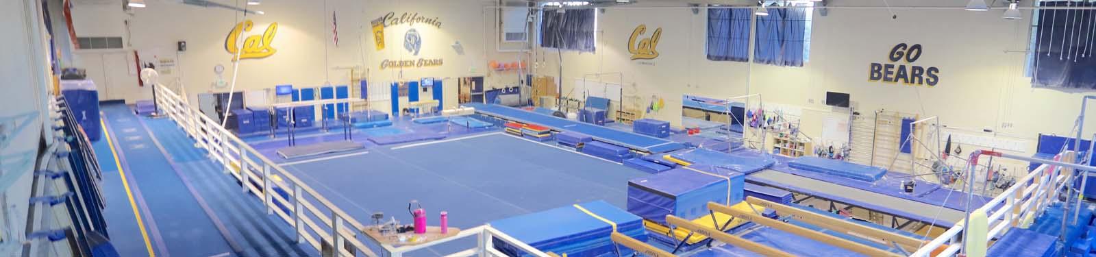 Cal Cms Gymnastics Landing Image Header Image