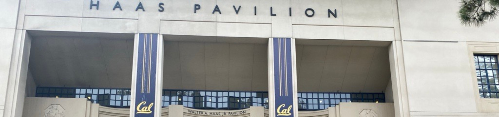 Haaz Pavillion Web Page Header 1600 X 375 Px