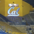 Cal volleyball announces new head coach