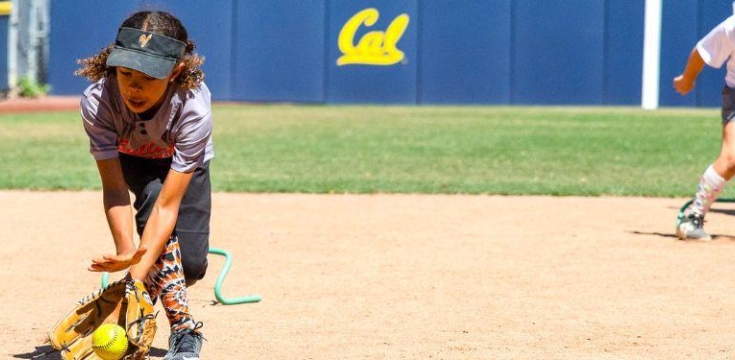Web Page Header Softball 2 1600 x 375 px