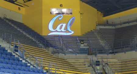 Cal volleyball announces new head coach