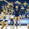 Cal Volleyball Serving Tip